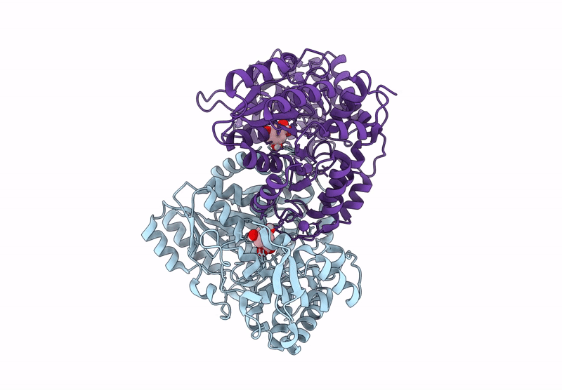 9J3U image