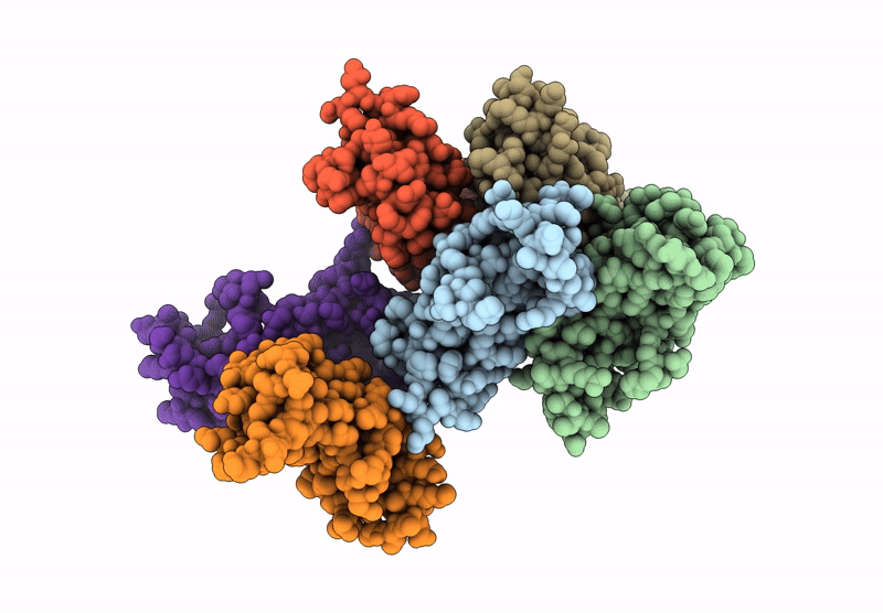 9J46 image