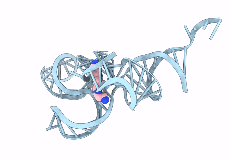 9J4O image