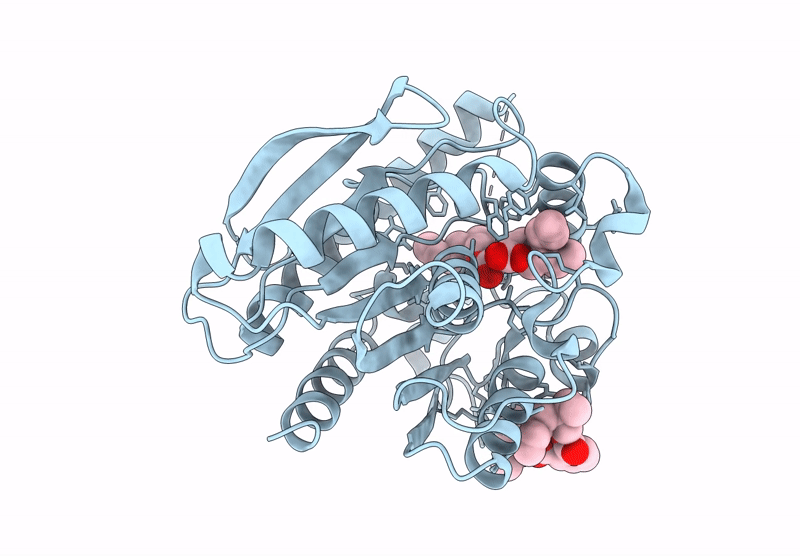 9J5C image