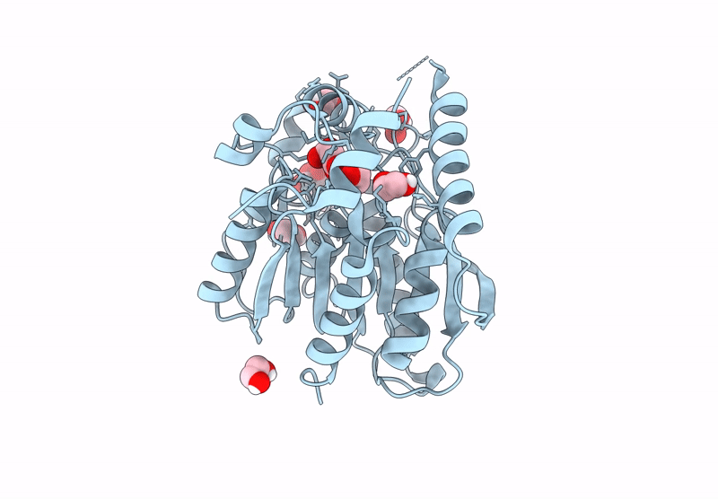 9J5D image