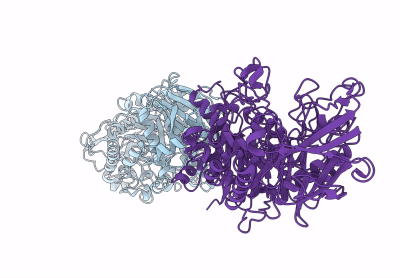 9J60 image