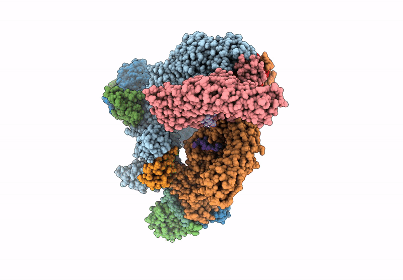 9J77 image