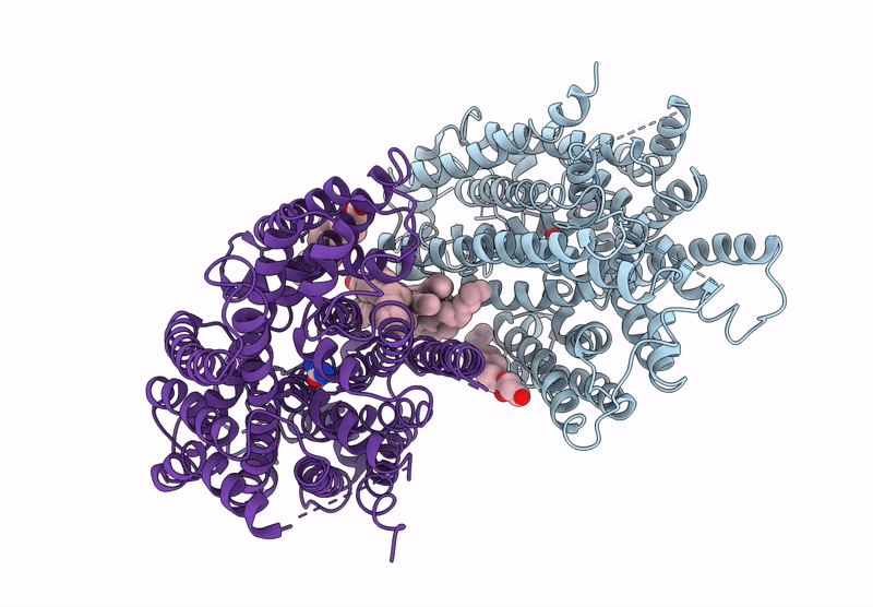 9J7C image
