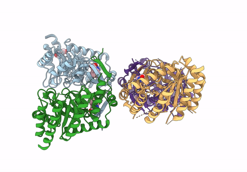 9J7S image
