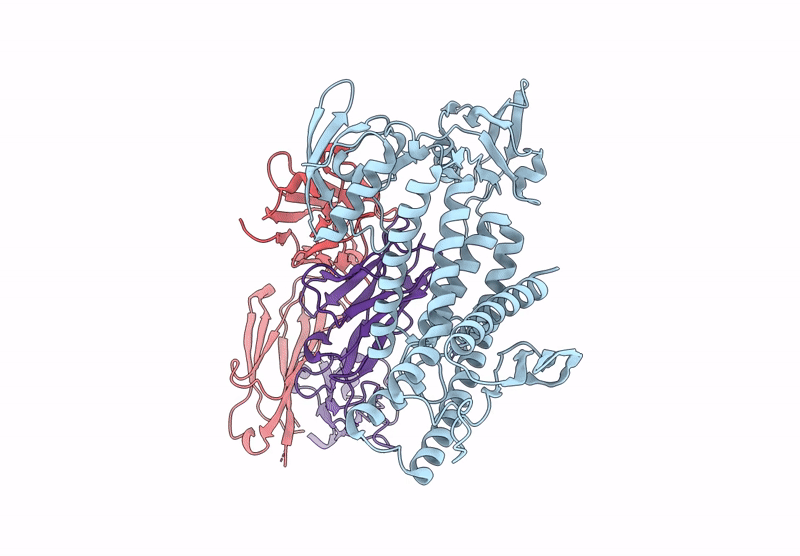 9J82 image