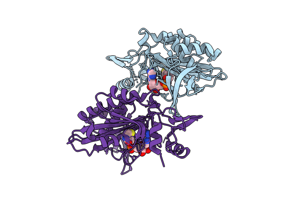 9J8E image