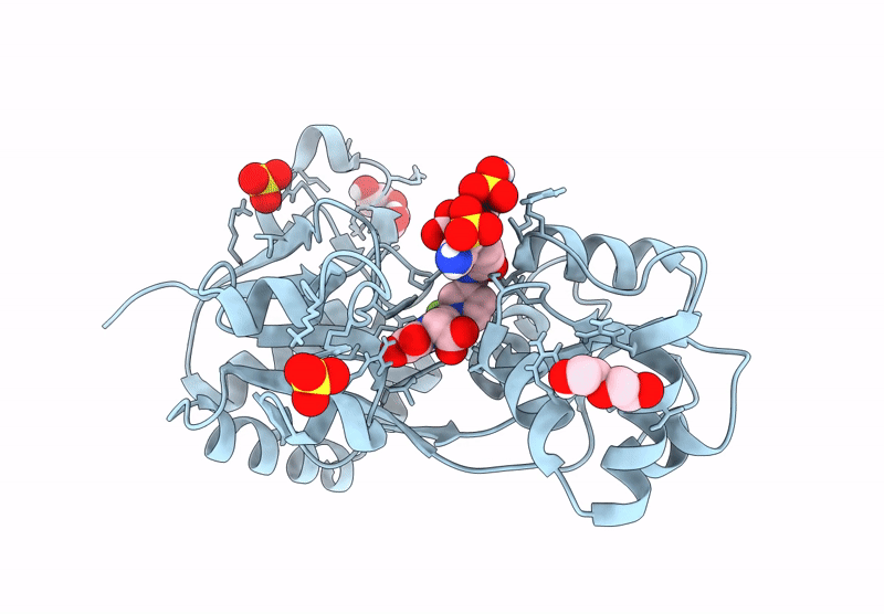 9J8K image