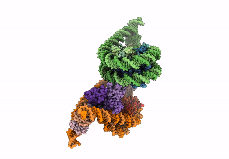 9J8N image