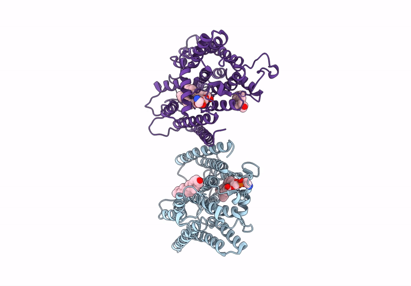 9J98 image