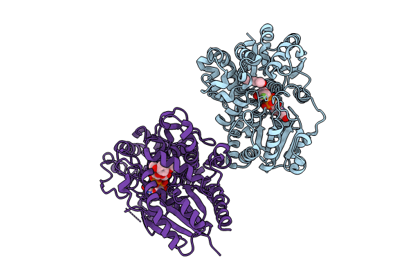 9J9K image