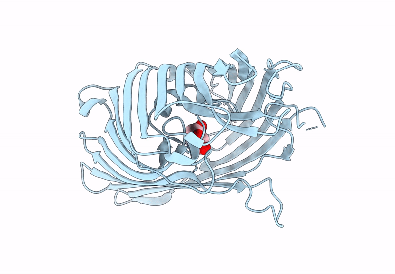 9J9L image