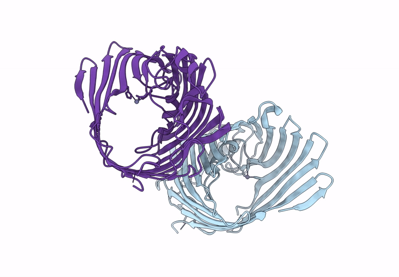 9J9N image