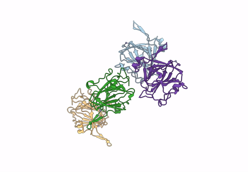 9J9R image