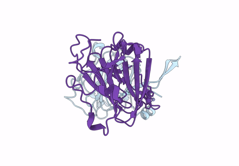 9J9T image
