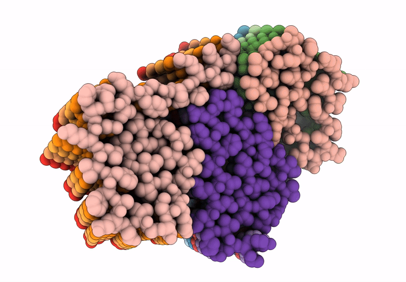 9JB2 image