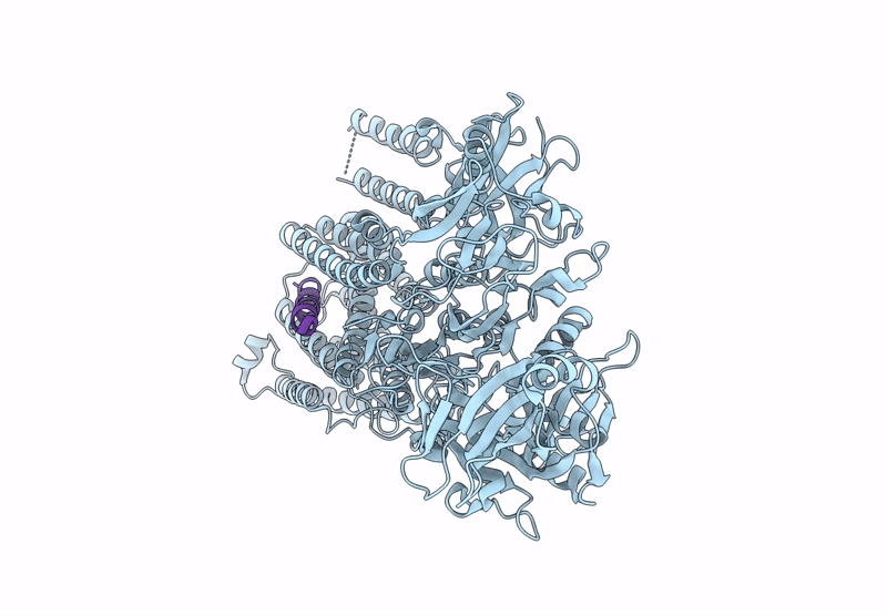 9JBM image