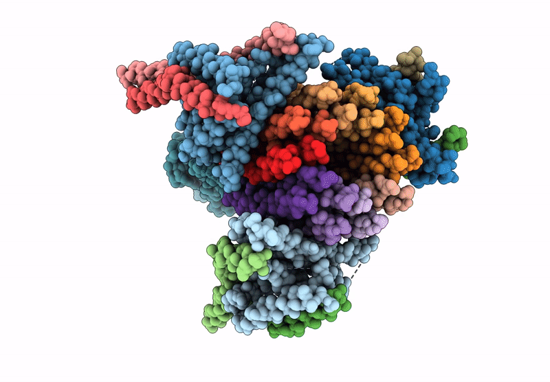 9JC2 image