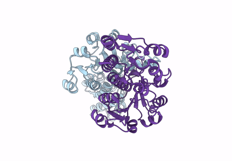 9JCN image