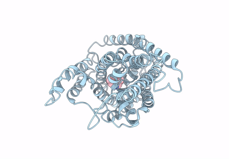 9JDS image