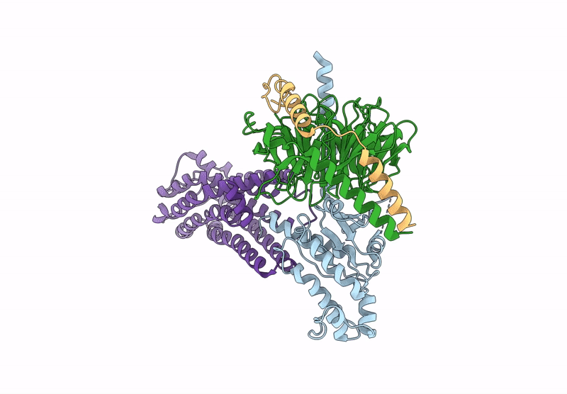 9JFV image