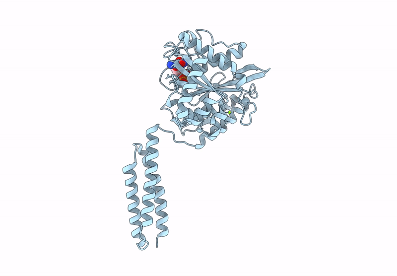 9JJW image