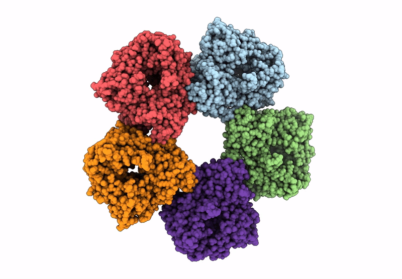 9JKC image