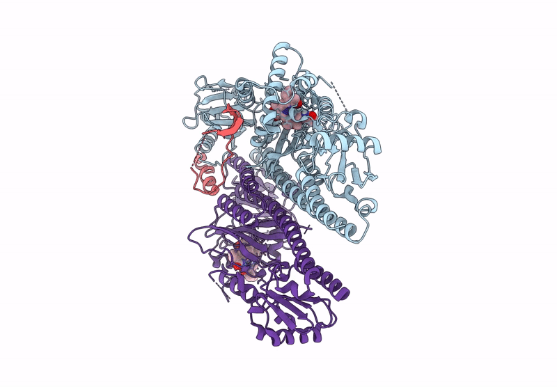 9JLB image