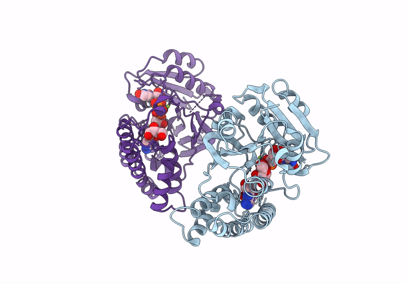 9JN3 image