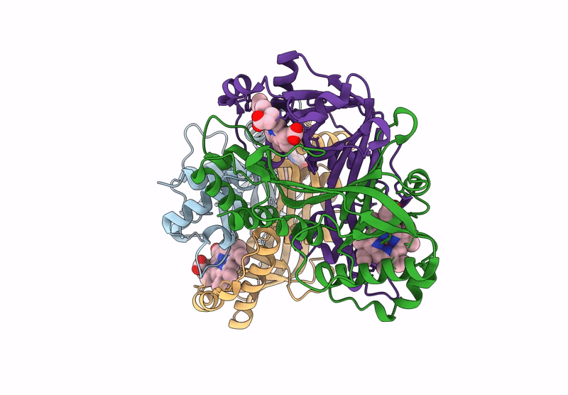 9JN4 image