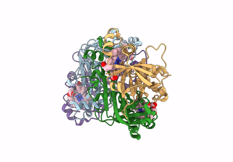 9JN5 image