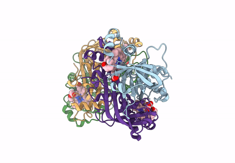 9JN6 image