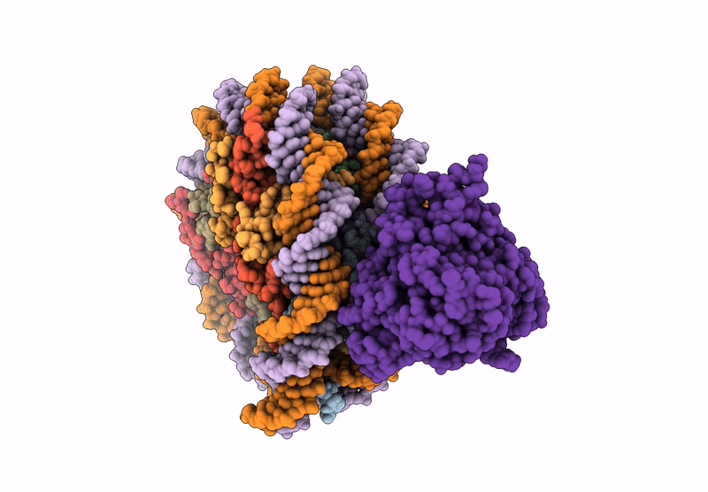 9JNP image
