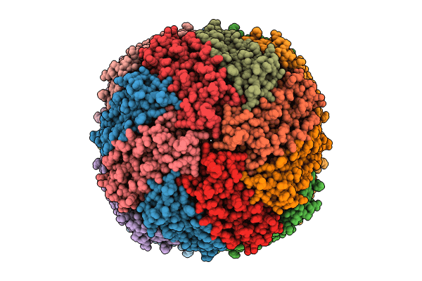 9JQD image