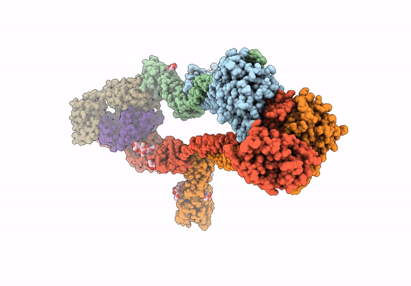 9JQR image
