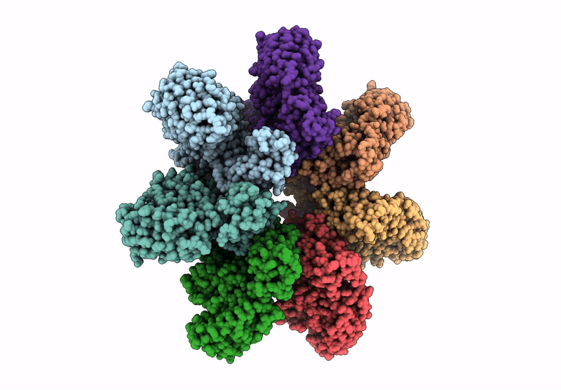 9JSI image