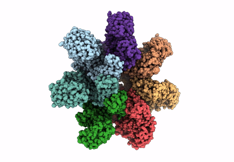 9JSK image