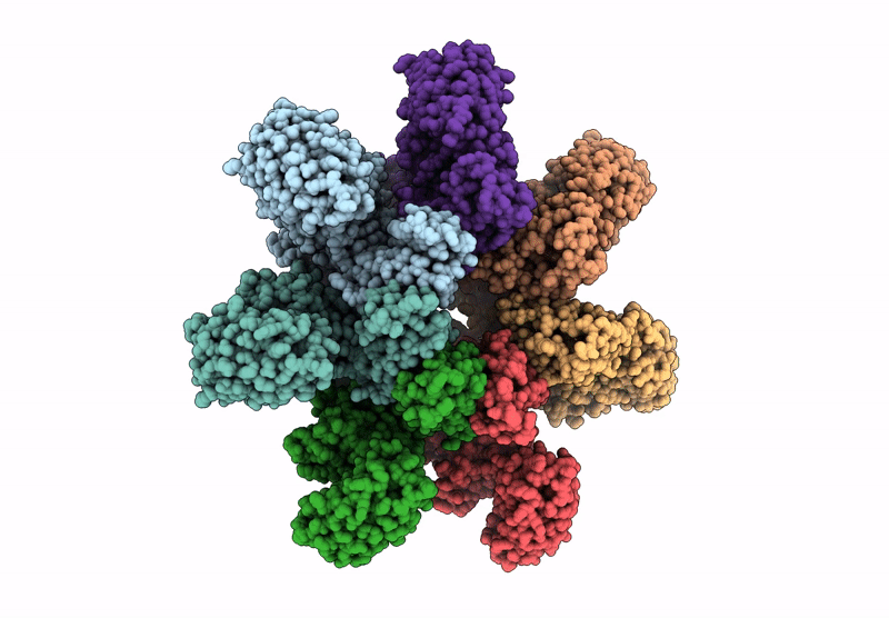 9JSL image