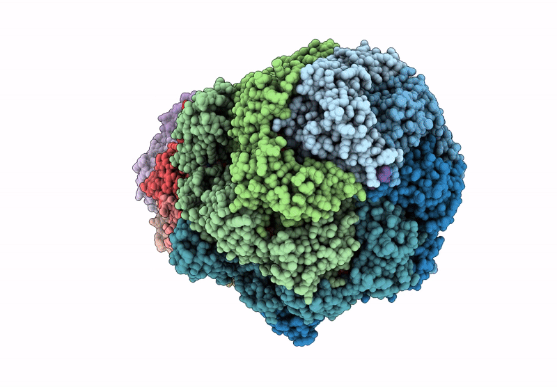 9JVP image