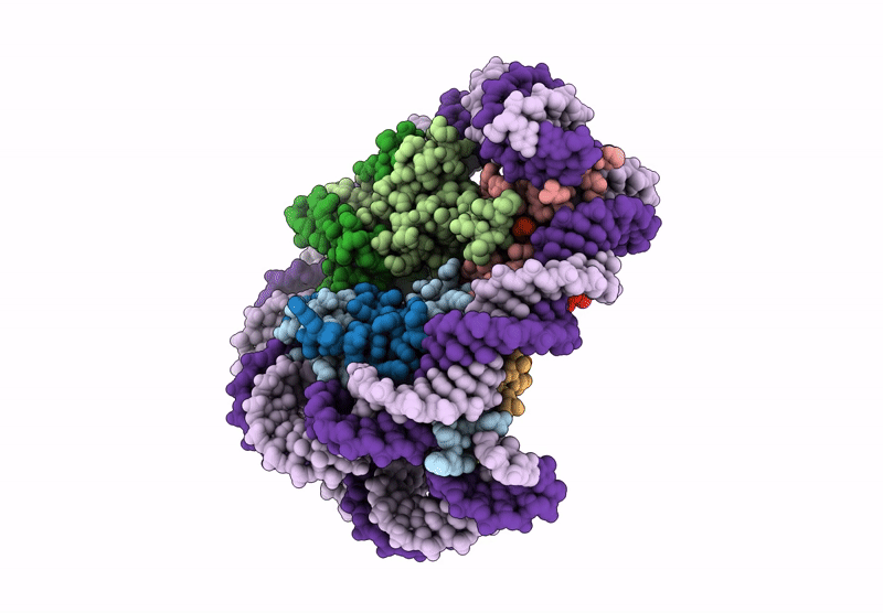 9K40 image