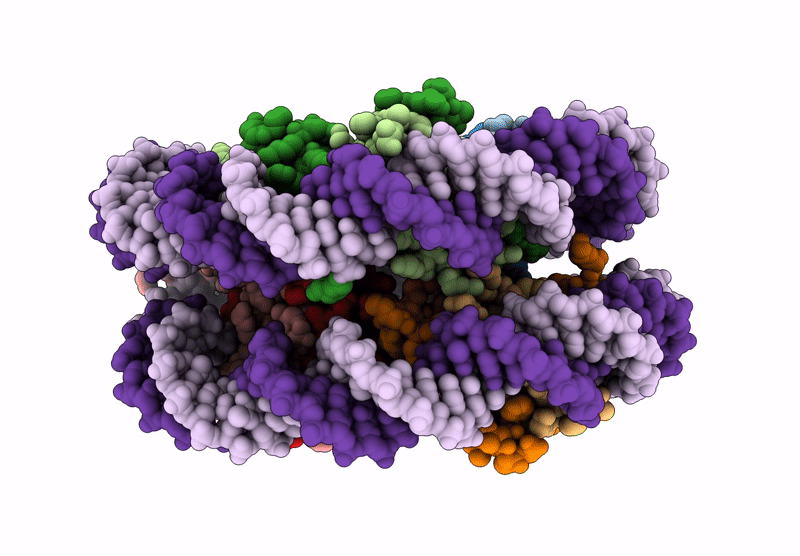 9K41 image