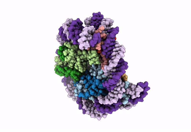 9K42 image