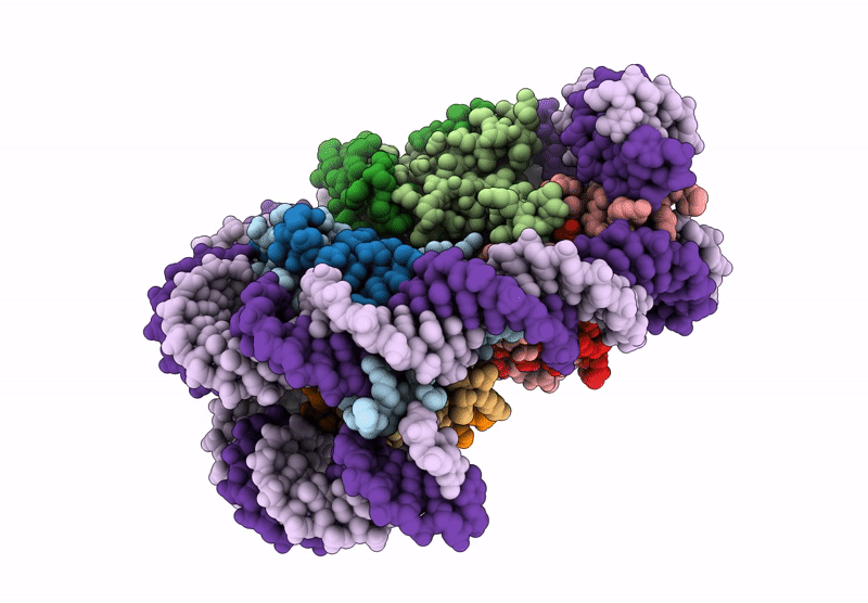 9K43 image