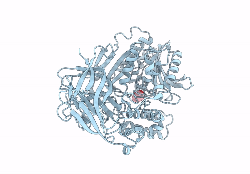 9K48 image