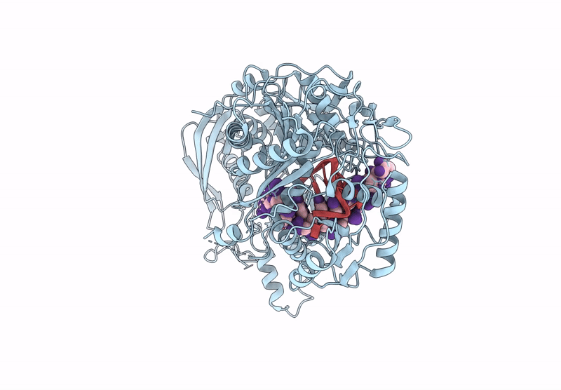 9K6P image