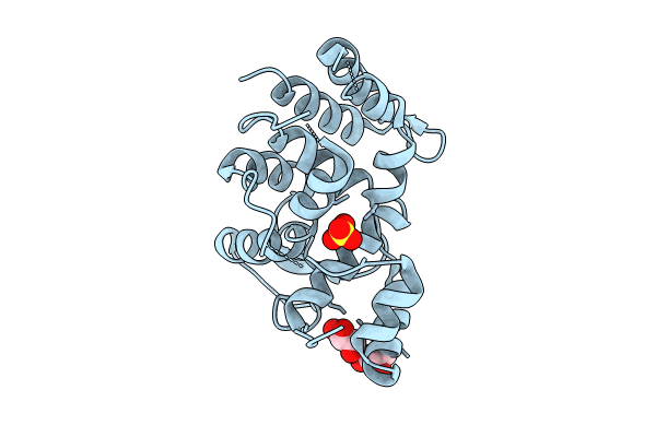 9KBT image