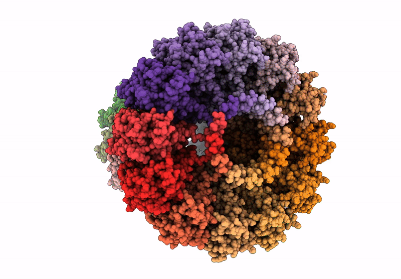 9KHX image