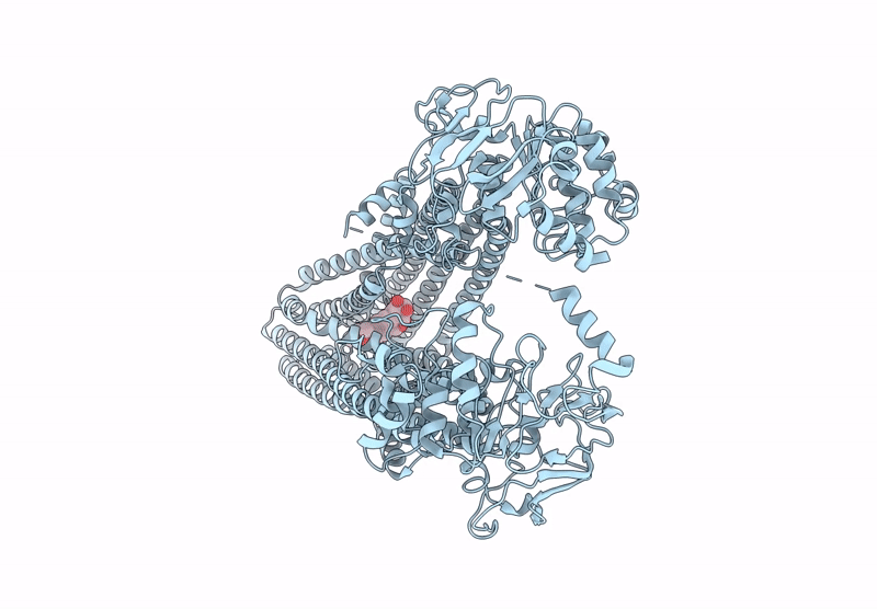 9KJC image