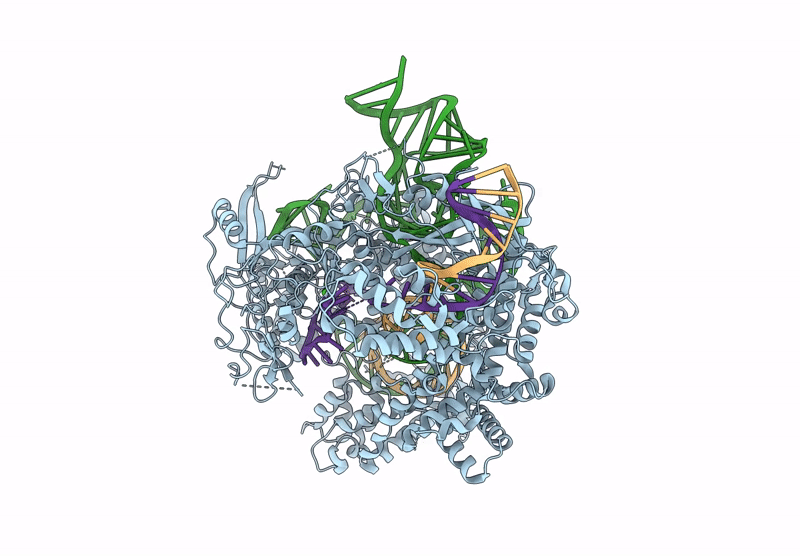 9KLO image