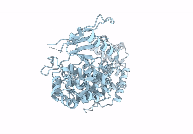 9KMA image
